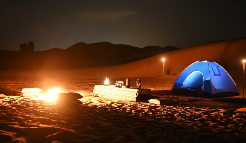 Overnight Safari