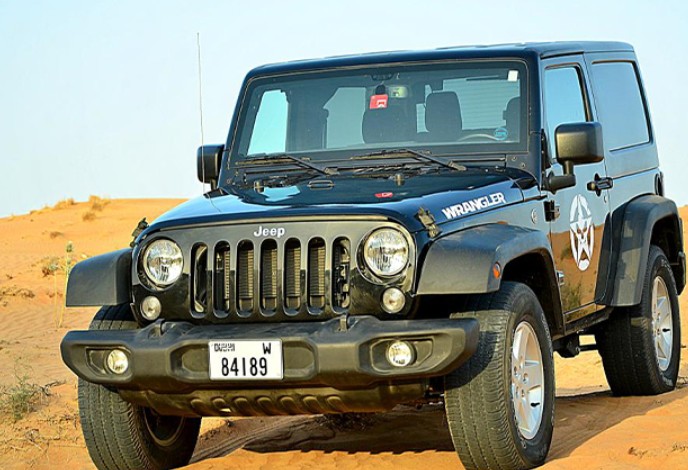 Safari privé en voiture avec un guide