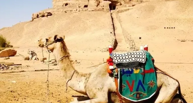 Private Half Day in Aswan (St. Simeon Monastery - Camel ride tour- Nubian Village)