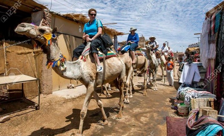 Private Half-Day Trip in Aswan (Nubian Village & Camel ride)